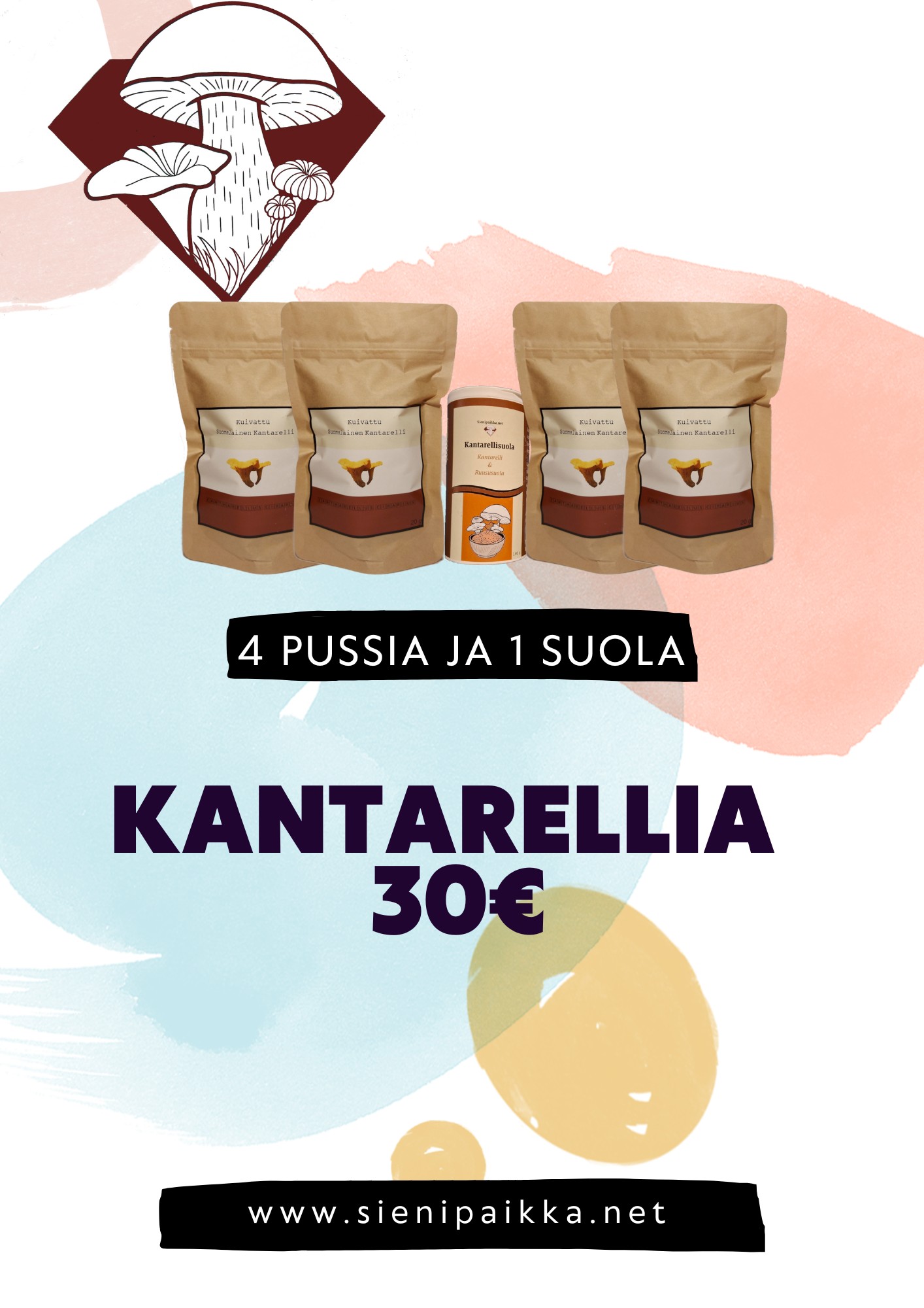 4 pussi ja suola kant_n